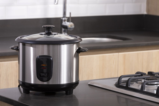 25L Kapazität Eisen Reiskocher Kochen verschiedene Gerichte von 0-100.C mit mechanischer Steuerung