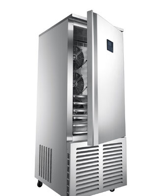 Beweglicher, aufrechter kommerzieller OEM-ODM-Kühlschrank, frostfreier Getränkekühler mit Rädern und LED-Leuchtkasten oben, R290, optionales Heizglas