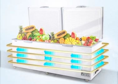 Große Kapazitäts-industrielle Kühlgeräte horizontal für Küchen-Kühlraum